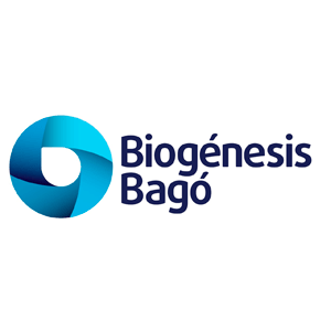 Bago | Cliente Consultar H&S SA