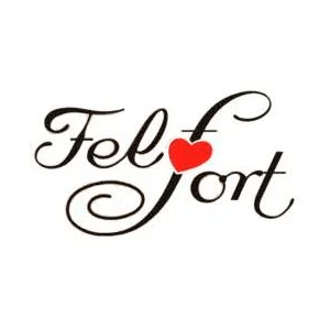 Fel Fort | Cliente Consultar H&S SA